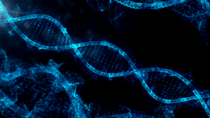 Animation of rotating DNA helix. *Note that this is not the full GIF in order to conserve space and be able to share the document more easily.