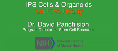 screenshot from video titled iPS Cells & Organoids - Sci-Fi vs Reality