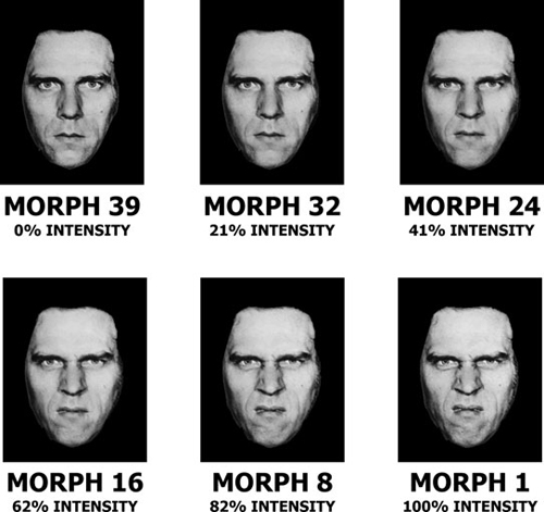 Faces morph showing disgust