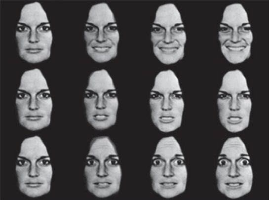 a chart shows a woman's happy, angry, fearful, and neutral facial expressions