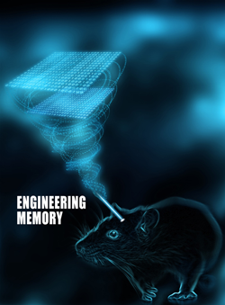 Malinow Engineering Memory Rat 