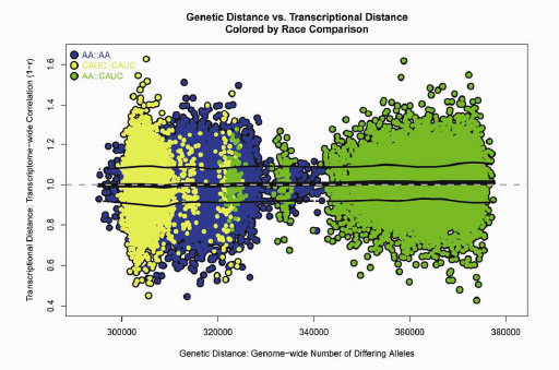 genetic difference vs transcriptional distance colored by race comparison