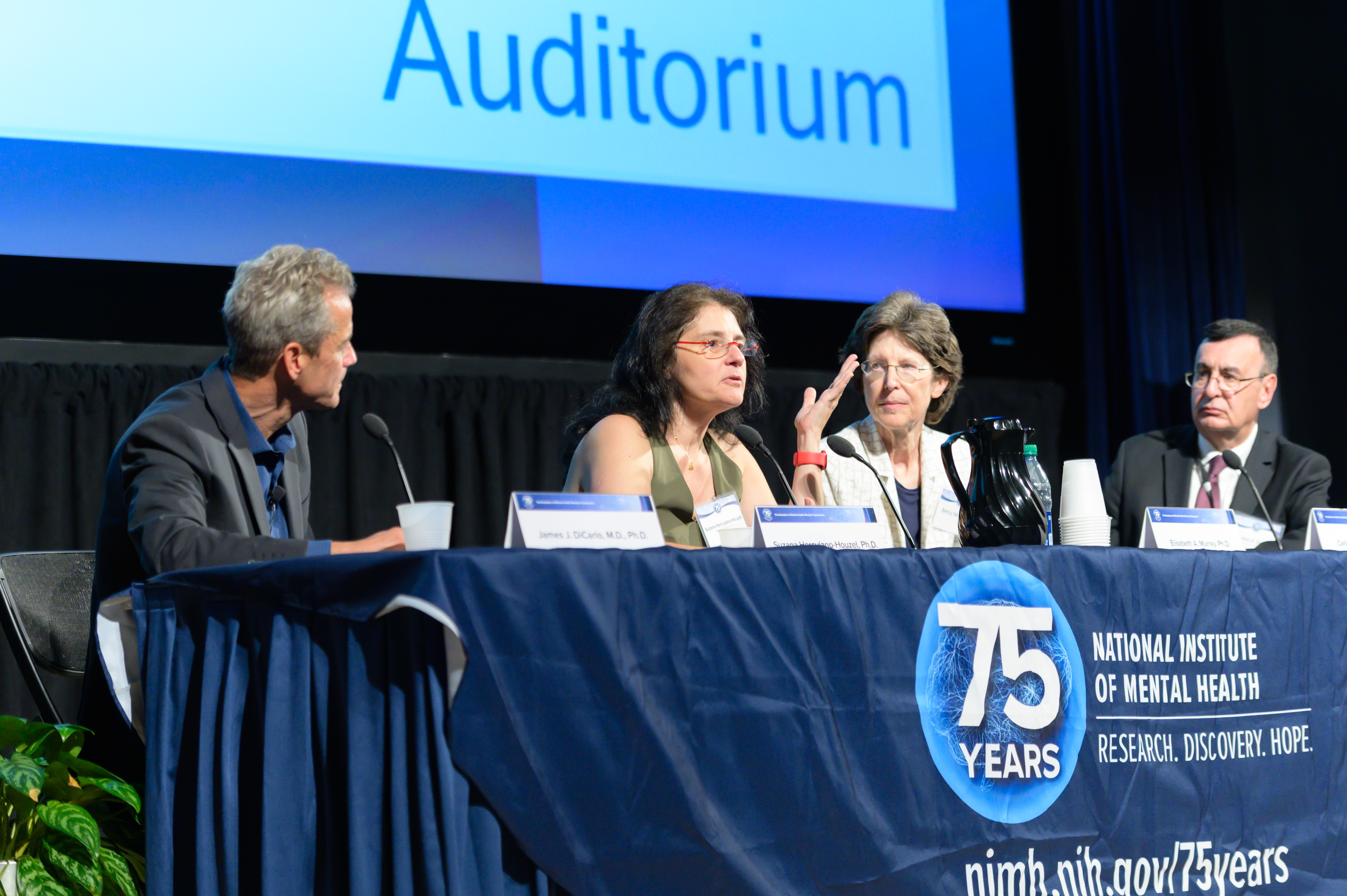 (l to r) Dr. James DiCarlo, Dr. Suzana Herculano-Houzel, Dr. Elizabeth Murray and Dr. Carlos Zarate speak on a panel at NIMH’s 75th Anniversary symposium, The Evolution of Mental Health Research, on September 13, 2023