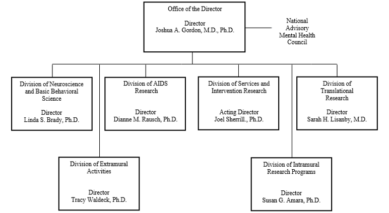 This Hierarchical Organization chart shows the structure and leadership of NIMH’s Divisions 