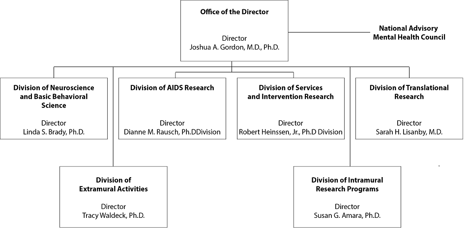 This Orgnaization chart shows Hierachy of Division Heads in the organization. The chart is headed by Office of the Director/ National Advisory Mental Health Council by Director Joshua A. Gordon, M.D., Ph.D., Division of Neuroscience and Basic Behavioral Science by by Directoe Linda s. Brady, Ph.D., Division of AIDS Research by Director Dianne M. Rausch, Ph.D., Division of Services and Intervention Research by Director Robert Heinssen, Jr. Ph.D., Division of Translational Research by Director Sa