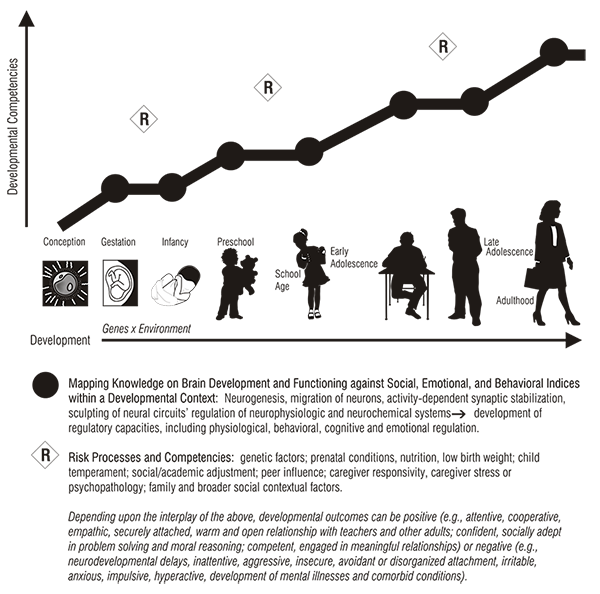 Figure 2: Developmental Framework: Linking Neuroscience, Behavioral Science, and Intervention. For more information, read 'Developmental Framework: Linking Basic Science to Interventions' section.