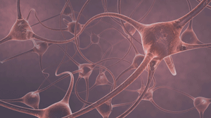 Animation of neurons firing.  *Note that this is not the full GIF in order to conserve space and be able to share the document more easily