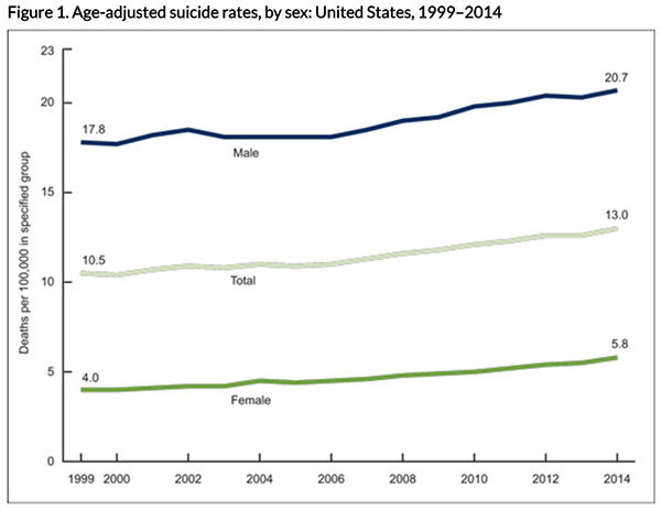 Suicide deaths are identified with codes U03, X60–X84, and Y87.0 from the International Statistical Classification of Diseases and Related Health Problems, Tenth Revision.