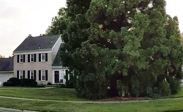 Photo of Josh Gordon's family home in Solver Spring, Maryland.