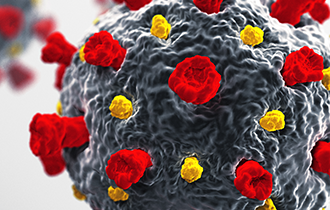 close up image of a COVID virus