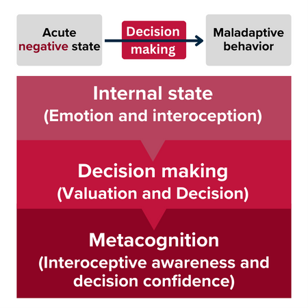 Horizontal flow chart showing acute negative state with an arrow through decision making process leading to maladaptive behavior.   Vertical flow chart showing Internal state (emotion and interoception) leading to decision making (valuation and decision) then leading to metacognition (interoceptive awareness and decision confidence). 