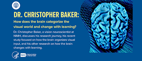 NIMH IRP Podcast with Dr. Christopher Baker: How does the brain categorize the visual world and change with learning?