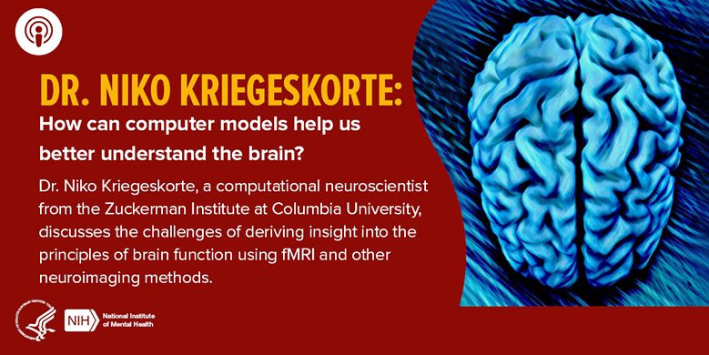 Dr. Niko Kriegeskorte: How can computer models help us better understand the brain?