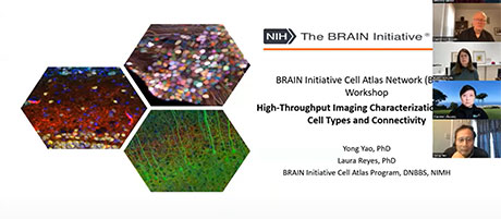  2022 High Throughput Imaging Characterization of Brain Cell Types & Connectivity-Day 1, Part 1 video thumbnail