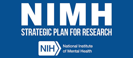 screenshot from NIMH video: Strategic Plan for Research Overview