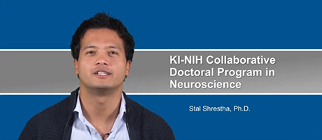 video screenshot from KI-NIH Collaborative Doctoral Program in Neuroscience presntation