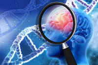 medical background with magnifying glass examining brain