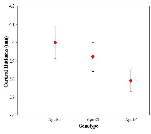 A graph plotting Entorhinal Cortex Thickness by ApoE Variant