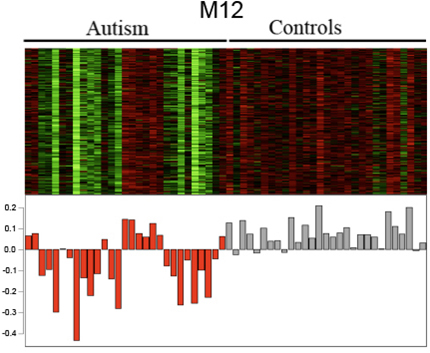 Differences in genes expressed between subjects with autism and those without