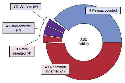 Autism’s genetic architecture