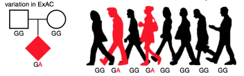 Mutations in both ASD and general population