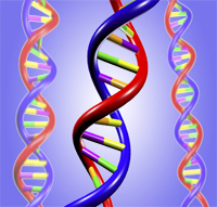 computer generated image of DNA