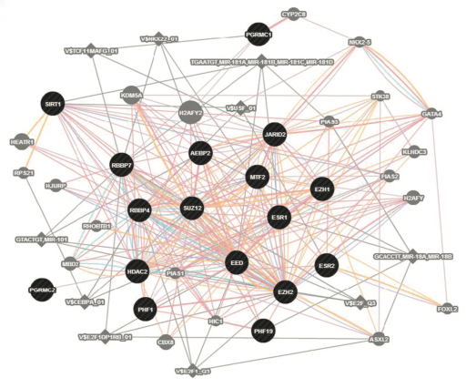 ESC/E(Z) gene complex