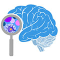 Brain Research through Advancing Innovative Neurotechnologies (BRAIN)&reg; Initiative Investigators Meeting