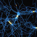 illustration of connected neurons