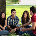 a group of young people sits on grass in the sun
