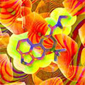 LSD in its receptor