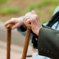 mature adults hands holding canes