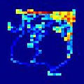 A heatmap shows the amount of time a mouse spent in locations of an open field chamber during optogenetic stimulation of the cerebellar input to the VTA.