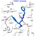 PSM21 docked in opioid receptor