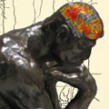 The thinker with brain map superimposed