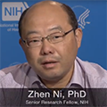 Zhen Ni: Transcranial Magnetic Stimulation: Cortical Anatomy and Clinical Neurophysiology