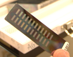 A person holding a gene chip, also known as a DNA microarray.