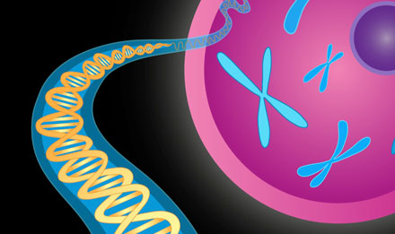 Genetics Chromes & DoubleHelix - news