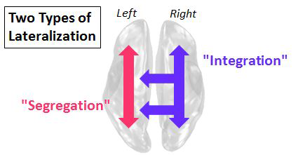 Two types of lateralization in brain