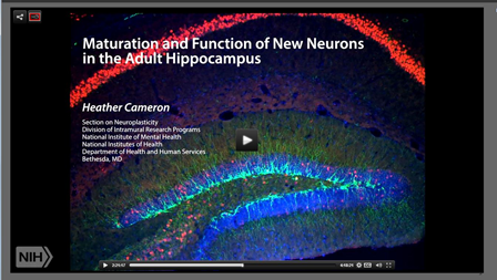 Heather Cameron, Ph.D., chief, NIMH Unit on Neuroplasticity, discusses recent findings on neurogenesis  in a talk at a symposium held in conjunction with the dedication of the Porter Neuroscience Research Center, March 31, 2014.
