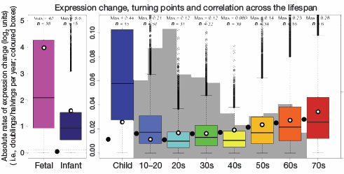 genetic expression change across lifetime