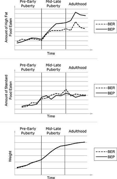 Graphs of food intake and weight over time in female rats