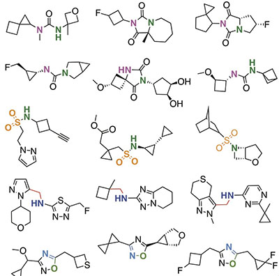 an illustration of the molecules discovered using the mega docking library.