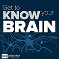 Get to Know Your Brain