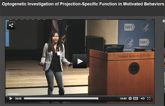 MIT neuroscientist Kay Tye, Ph.D., explains the line of research into the brain circuitry of pleasure seeking and pain avoidance that led to the new findings.