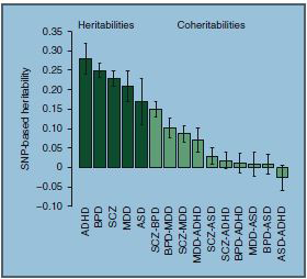 SNP-based Coheritibilities