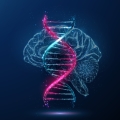 Illustration of a DNA helix over top of a human brain
