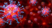SARS-CoV-2 virus with crown-like spikes