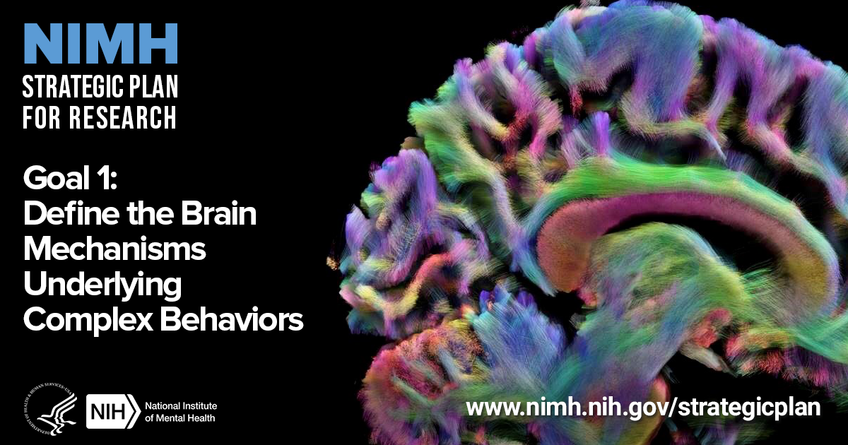 NIMH Strategic Plan for Research - Goal 1: Define the Brain Mechnisms Underlying Complex Behaviors