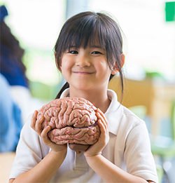 young girl holding brain